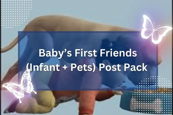 Baby’s First Friends (Infant + Pets) Post Pack