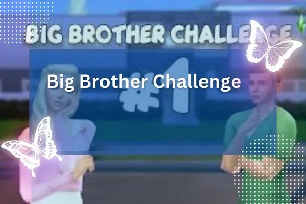 Big Brother Challenge
