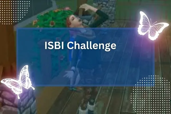 ISBI Challenge
