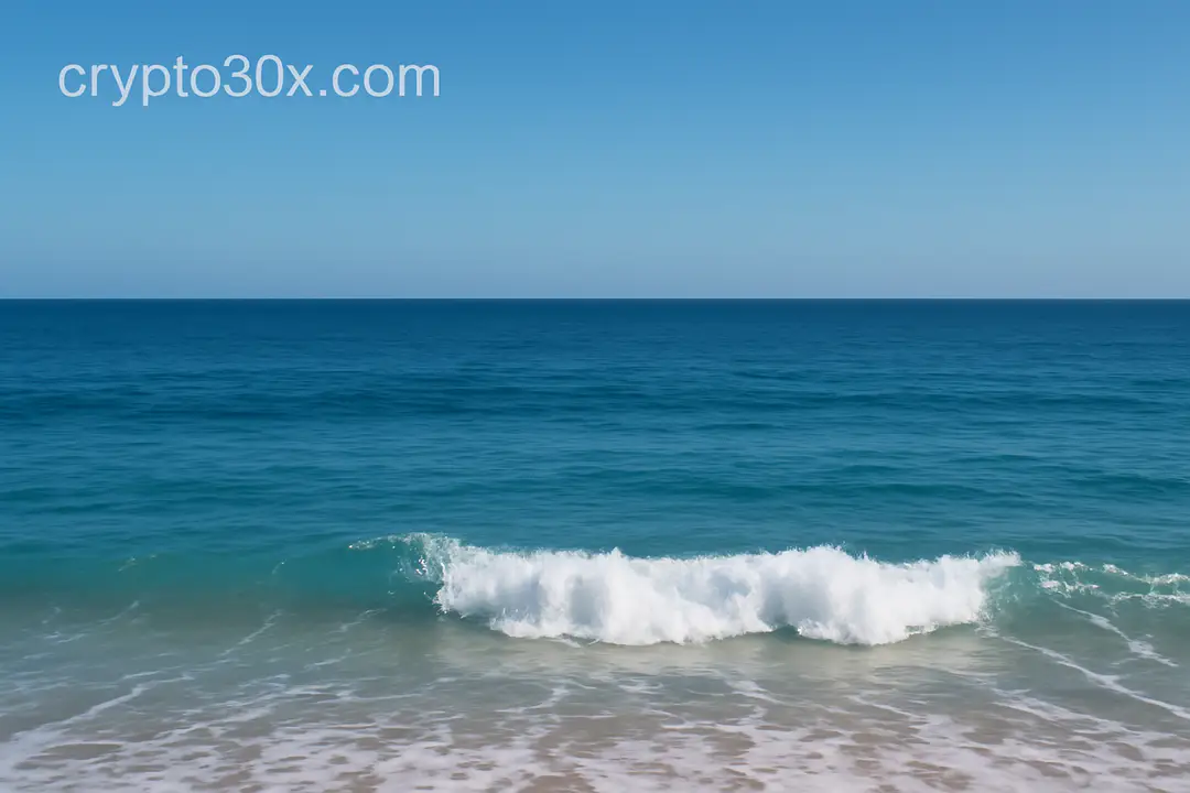 crypto30x.com ocean
