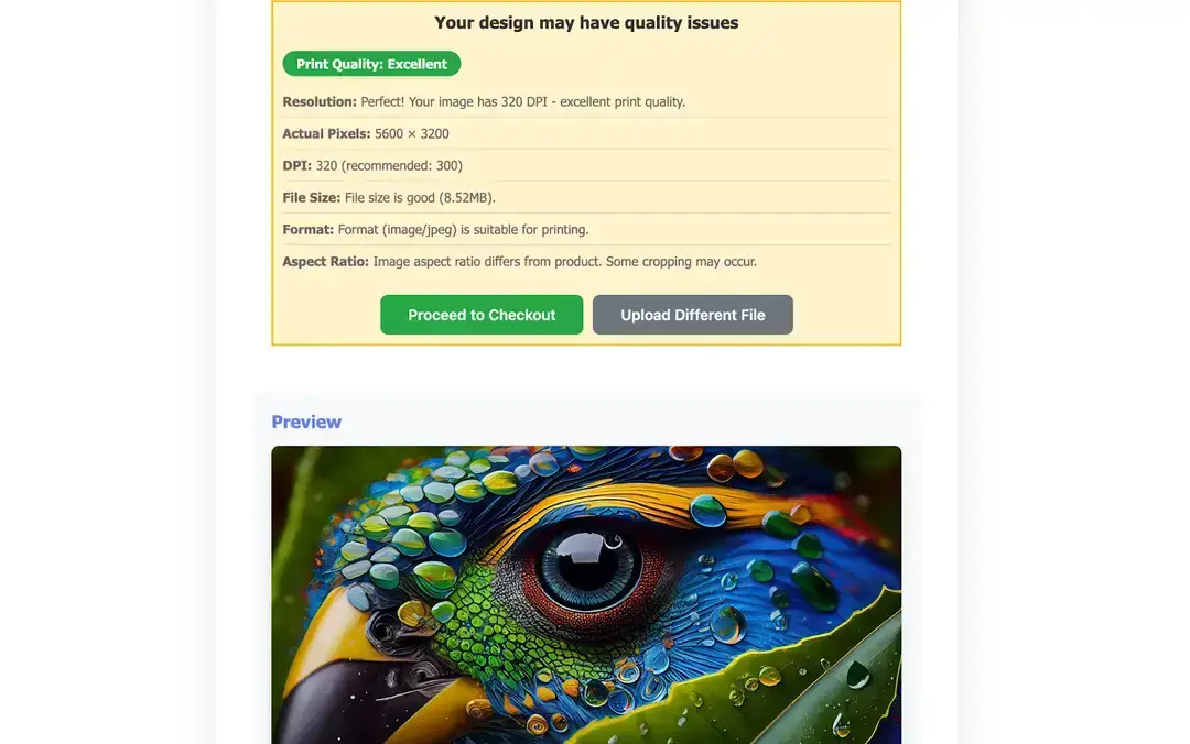 Successful validation showing print-ready image with excellent DPI and format